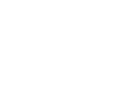 Pena Group — Defining Excellence